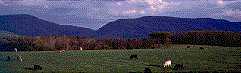 vamountains.jpeg